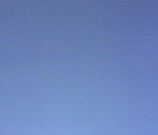 Amy M Ho Wall